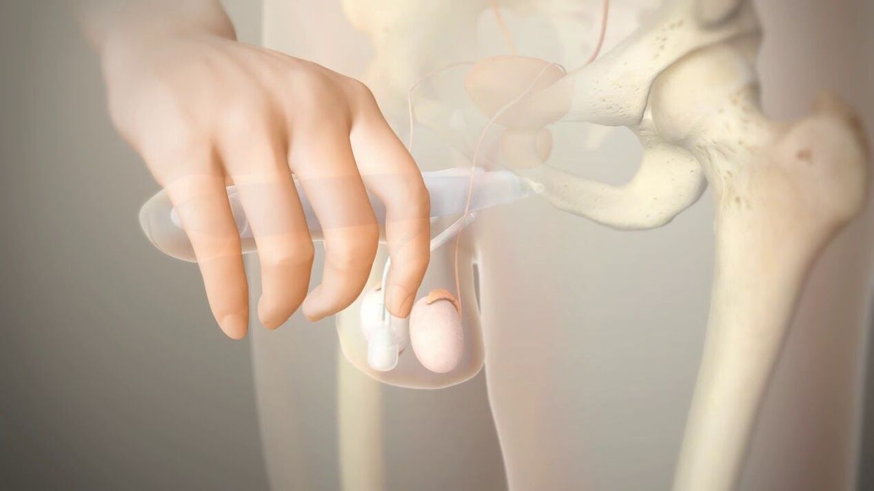 how to enlarge the penis