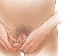 jelqing exercise for penis enlargement